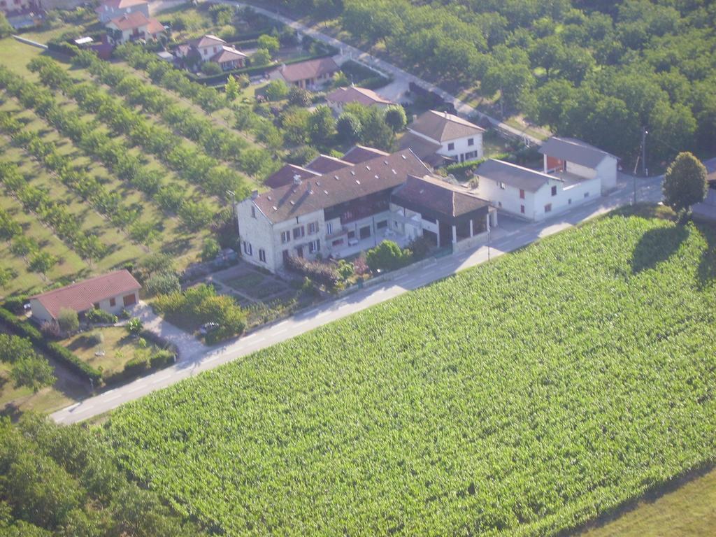 Chambres d'Hôtes La Noyeraie Izeron Exterior foto